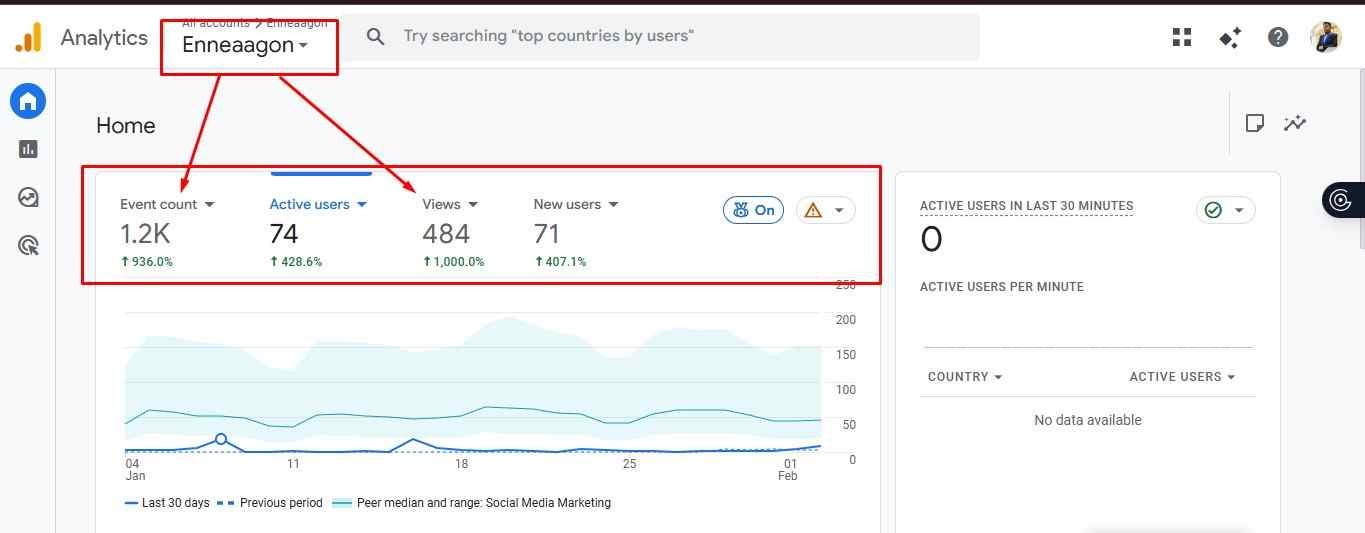 SEO case study showing traffic growth for Enneaagon